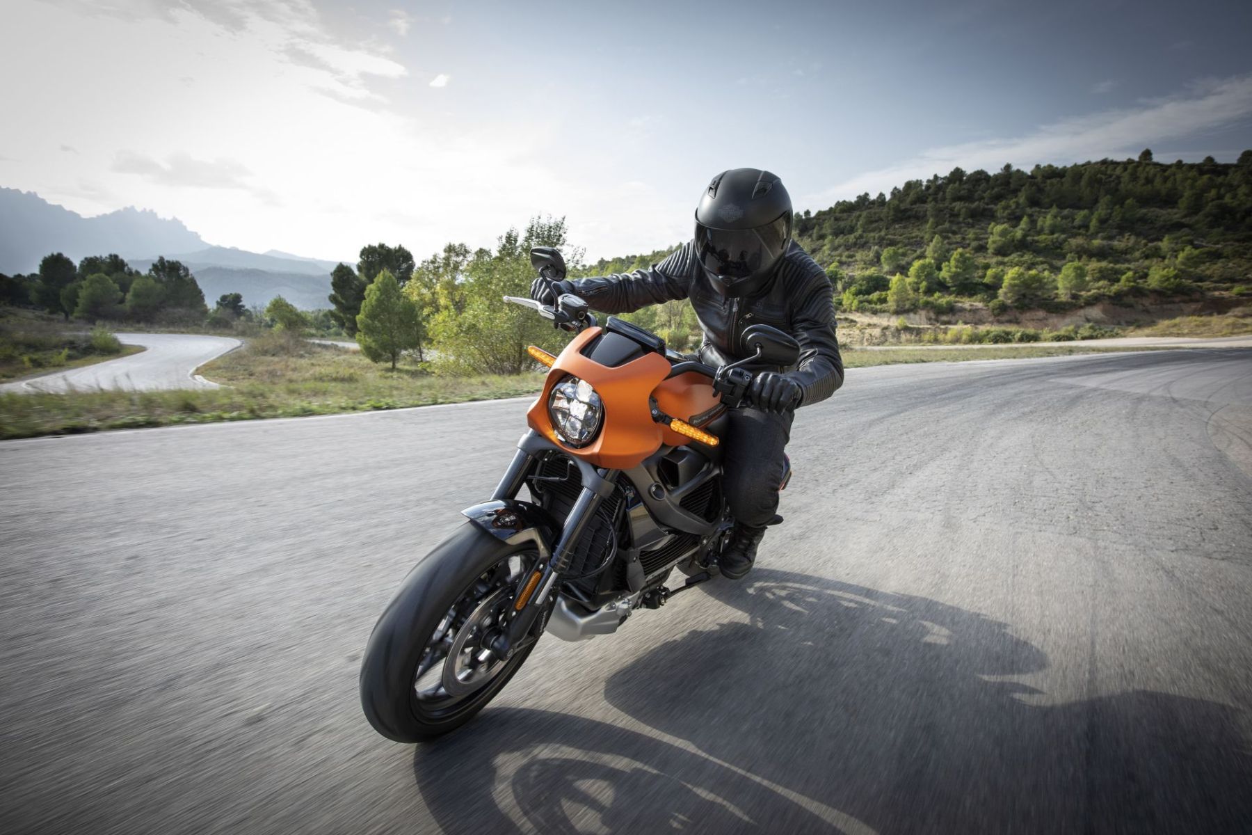 Harley Davidson