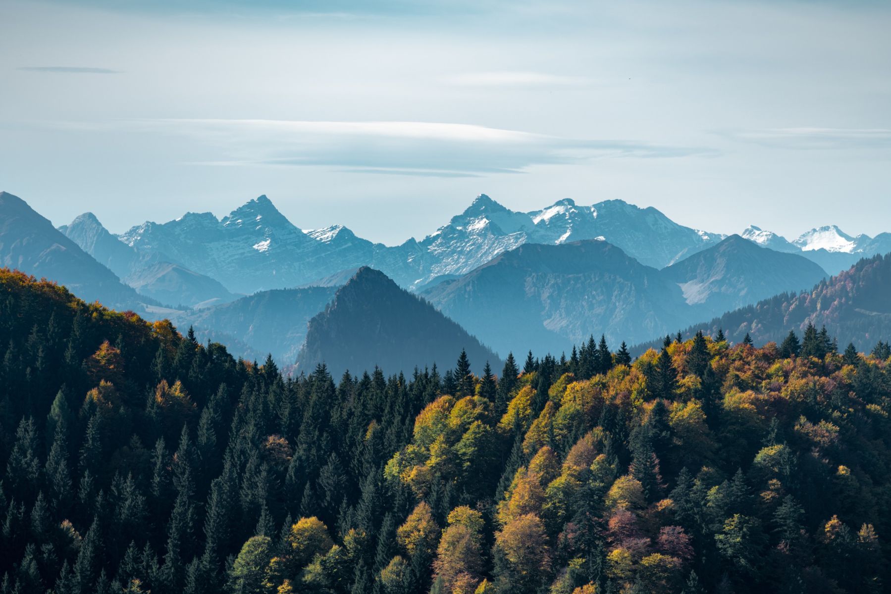 Mountains Forest
