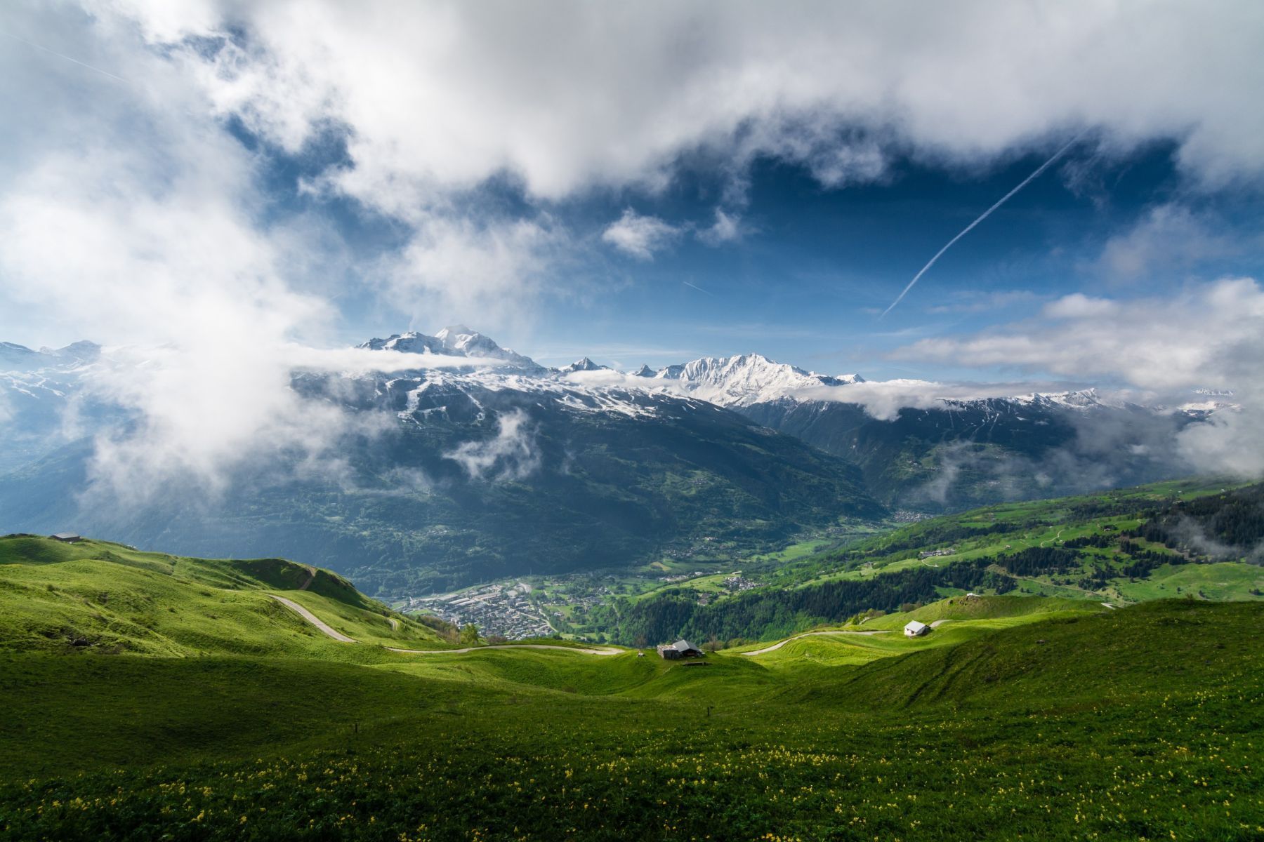 Mountain Meadows